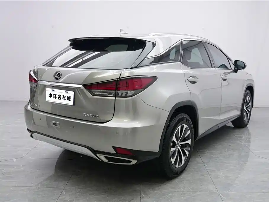 Lexus RX 2022 — фото 18