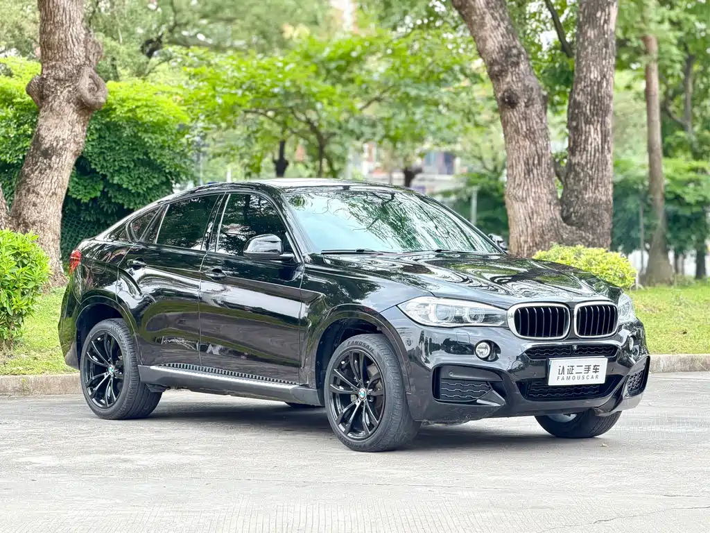 BMW X6 2019 — фото 3