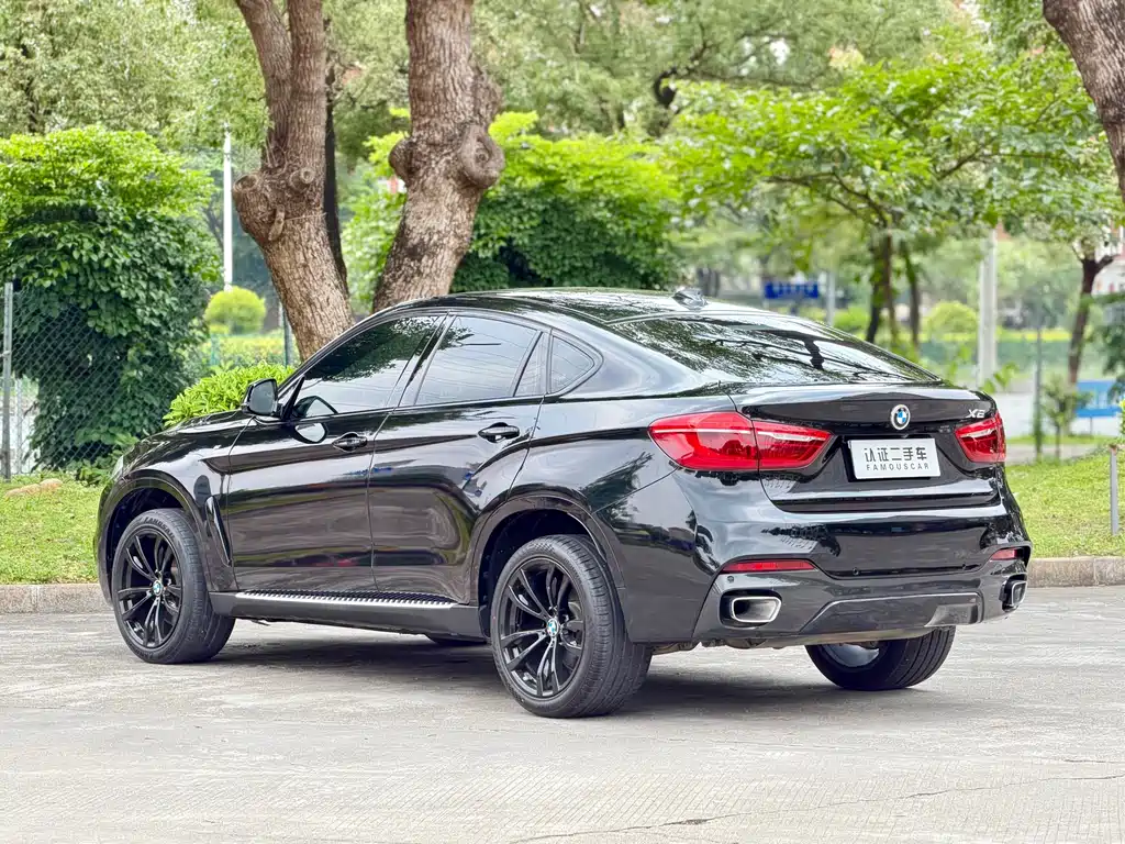 BMW X6 2019 — фото 7