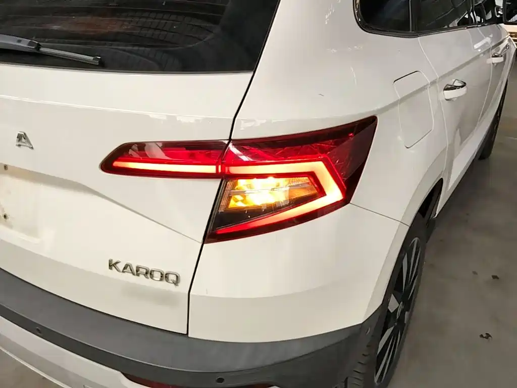 Skoda Karoq 2019 — фото 8
