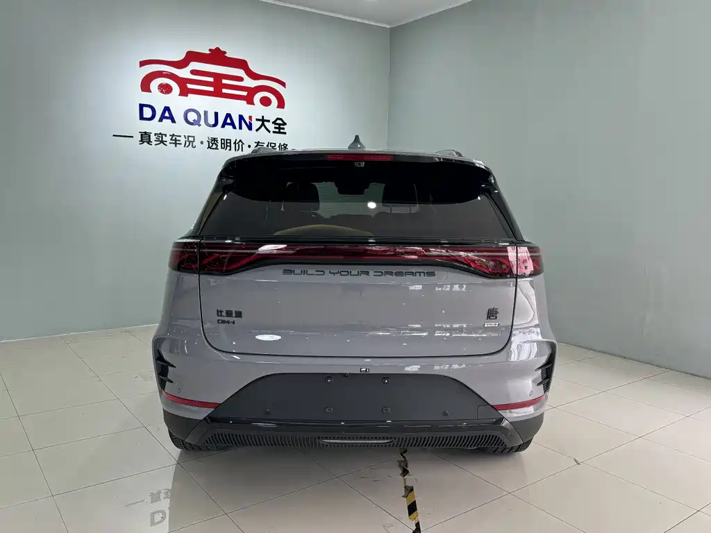 BYD Tang New Energy 2025 — фото 17