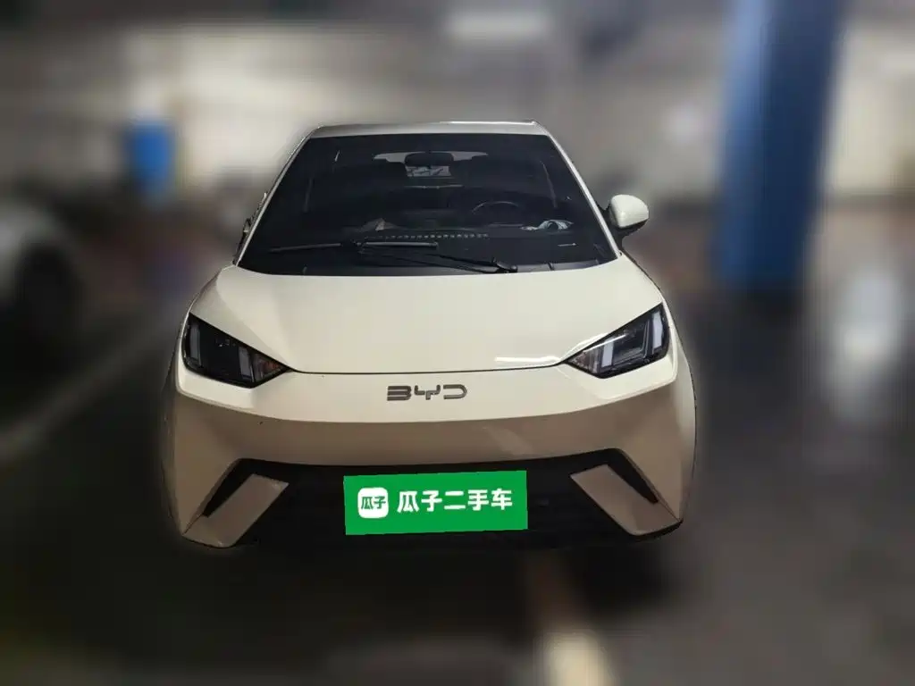 BYD Seagull 2024