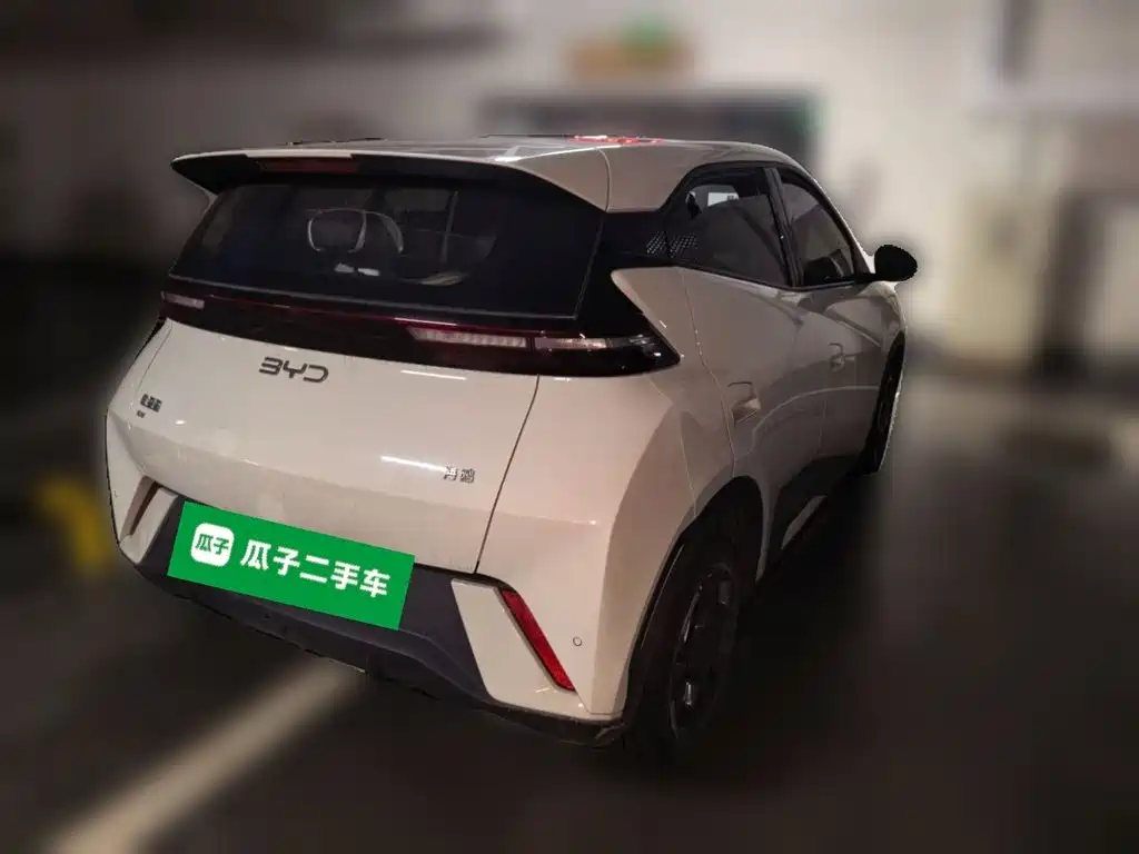 BYD Seagull 2024
