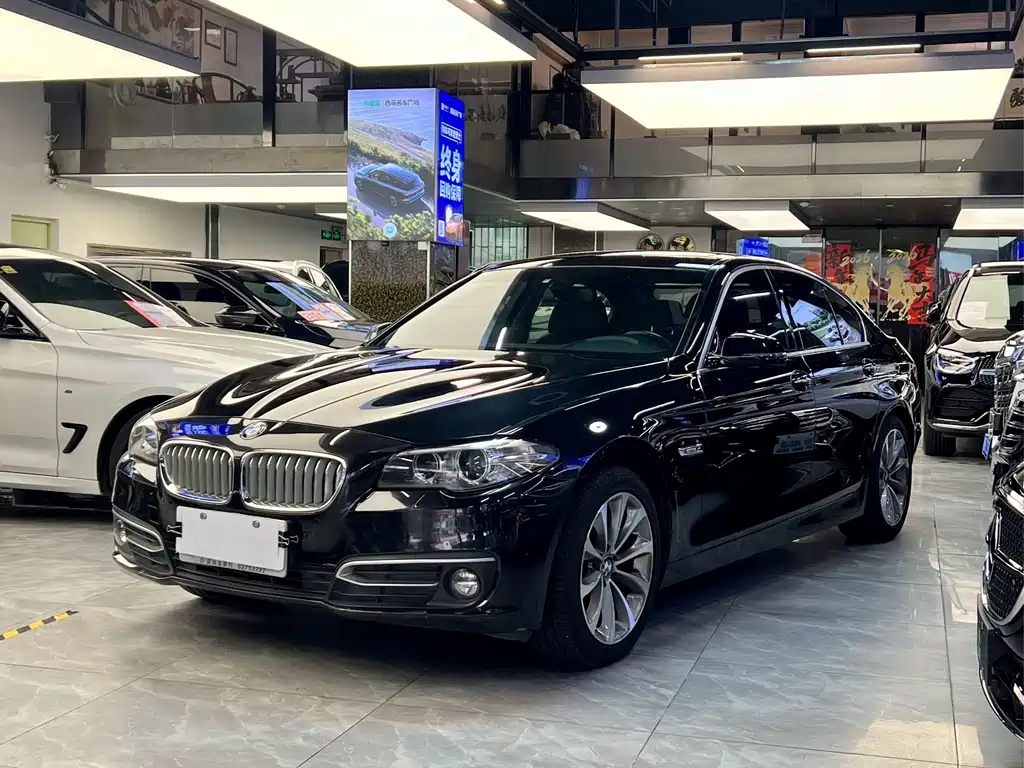 BMW 5 Series 2014 — фото 1