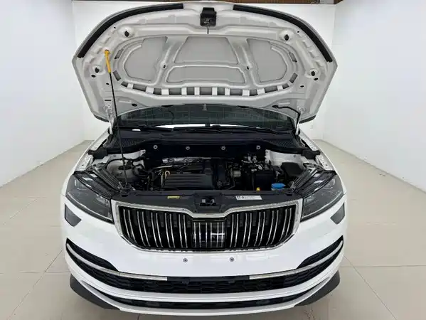 Skoda Karoq 2022