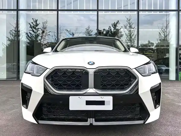 BMW X2 2025