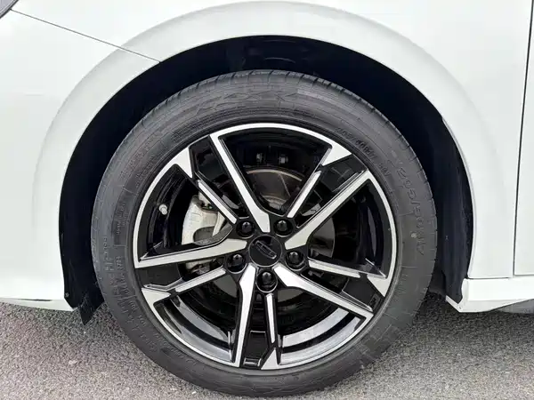 Geely Binrui 2024