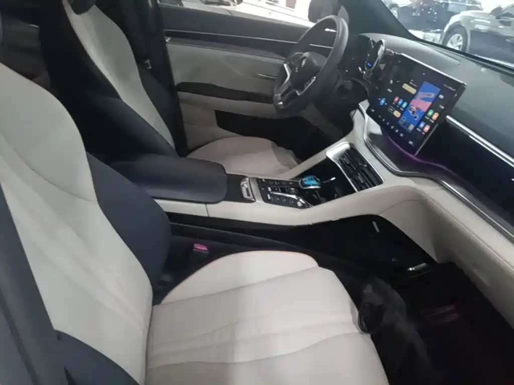 BYD Song PLUS New Energy 2022 — фото 25