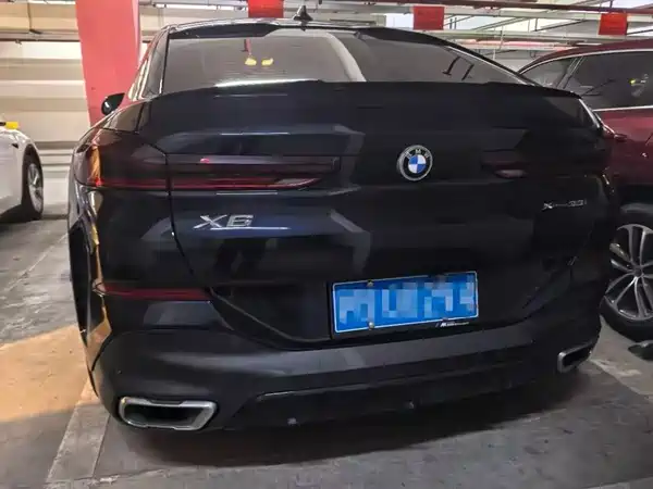 BMW X6 2021