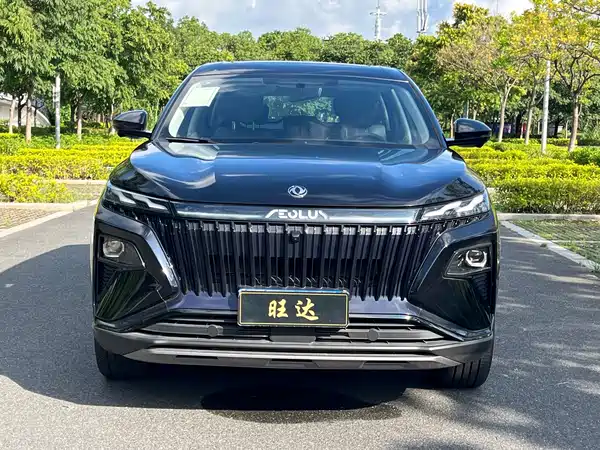 Dongfeng Haoji 2025