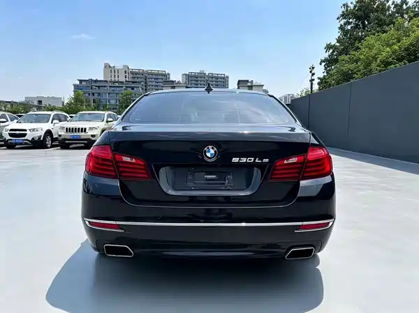 BMW 5 Series New Energy 2017