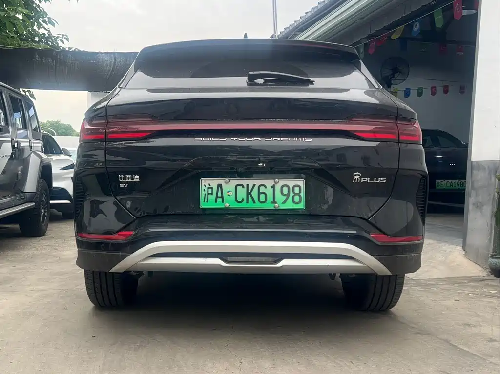BYD PLUS New Energy 2023 — фото 8
