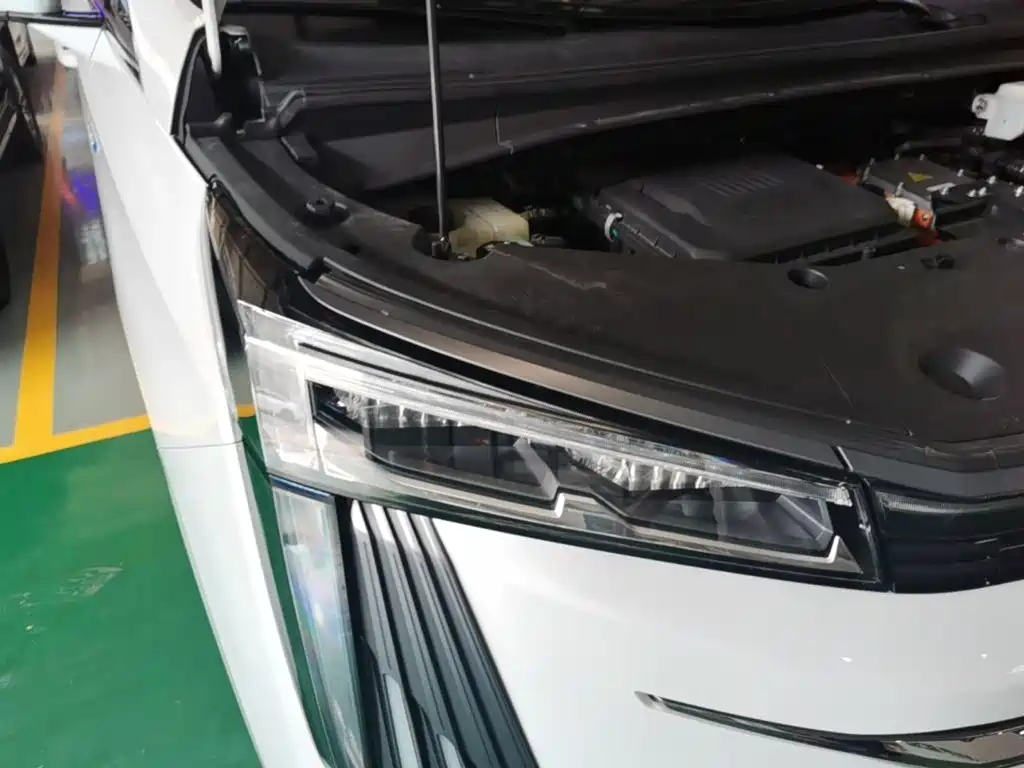 GAC Motor Trumpchi E9 2025 — фото 13