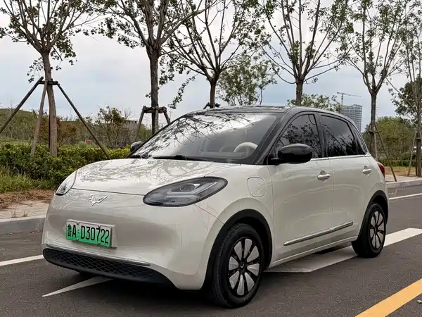 Wuling Bingo 2024