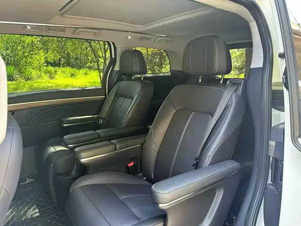 GAC Trumpchi M8 2022