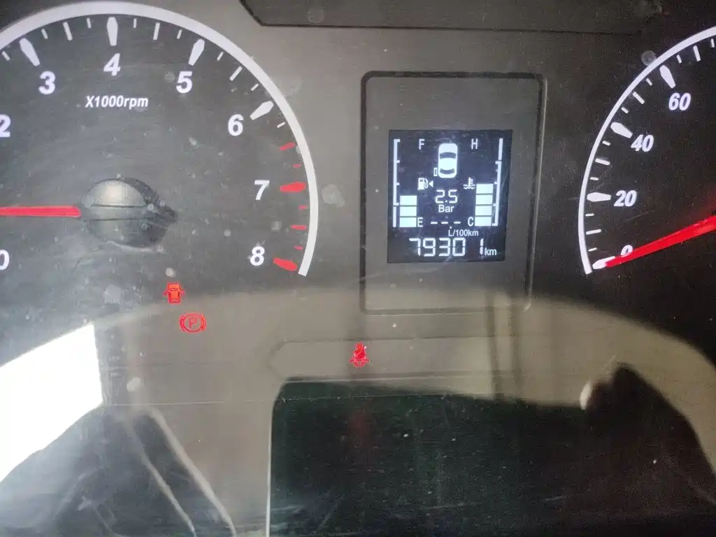 Dongfeng Lingzhi 2020