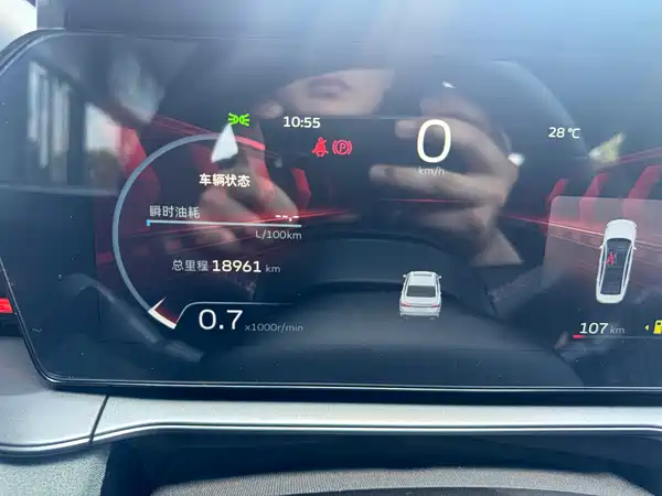 Geely Binrui 2022
