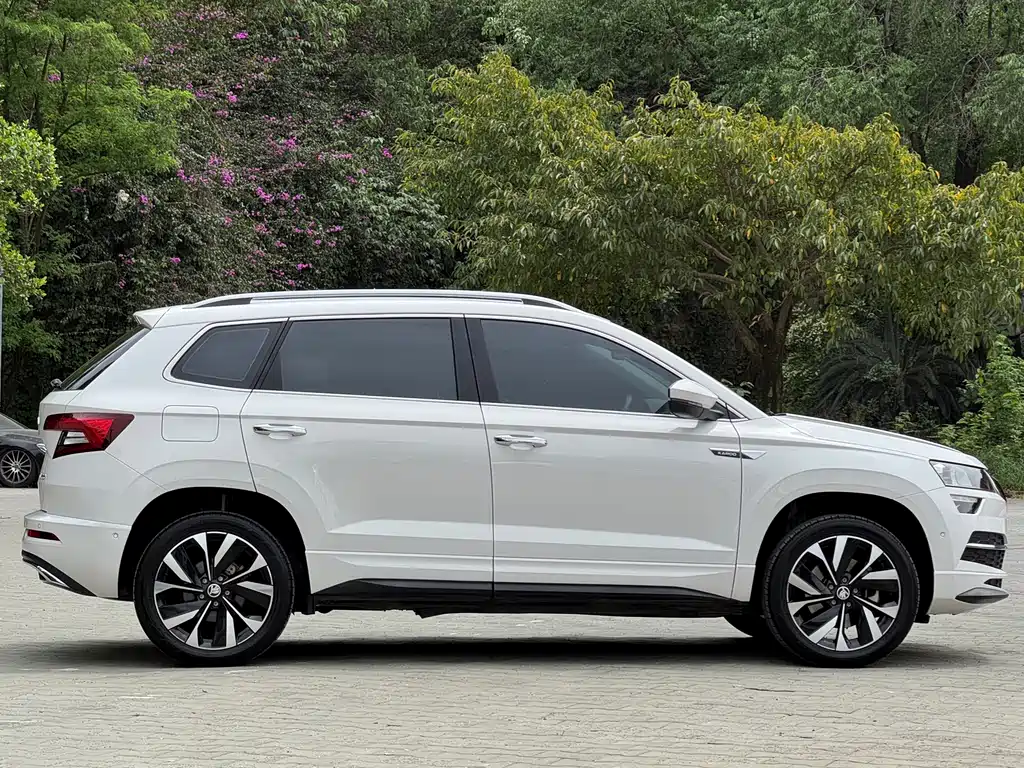 Skoda Karoq 2022 — фото 6