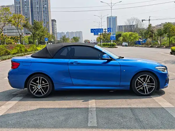 BMW 2 Series 2019