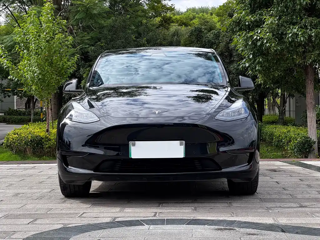 Tesla Model Y 2023 — фото 6