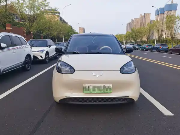 Wuling Bingo 2024