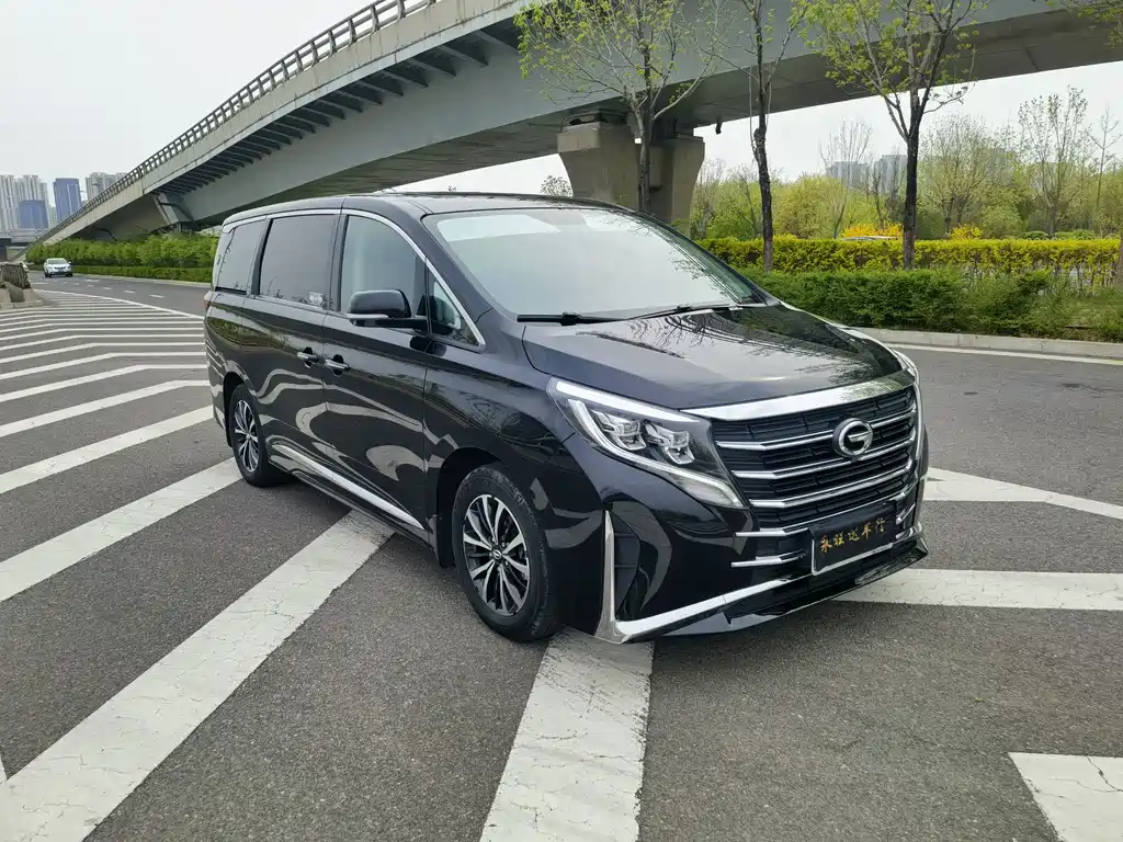 GAC Motor Trumpchi M8 2023 — фото 3