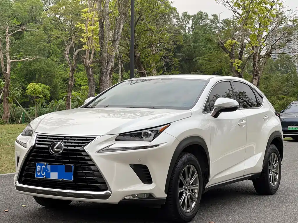 Lexus NX 2019 — фото 1