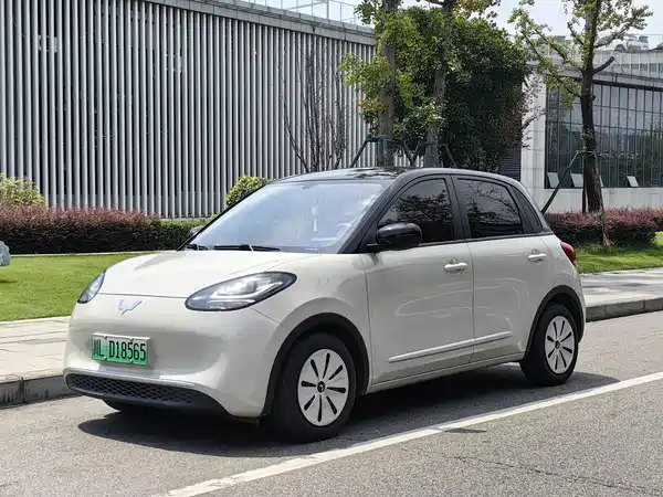 Wuling Bingo 2024