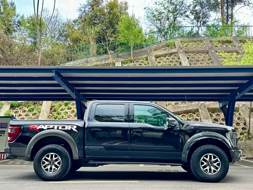 Ford F-150 Raptor 2024 — фото 8