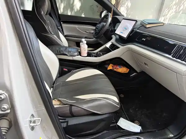 BYD Song PLUS New Energy 2024