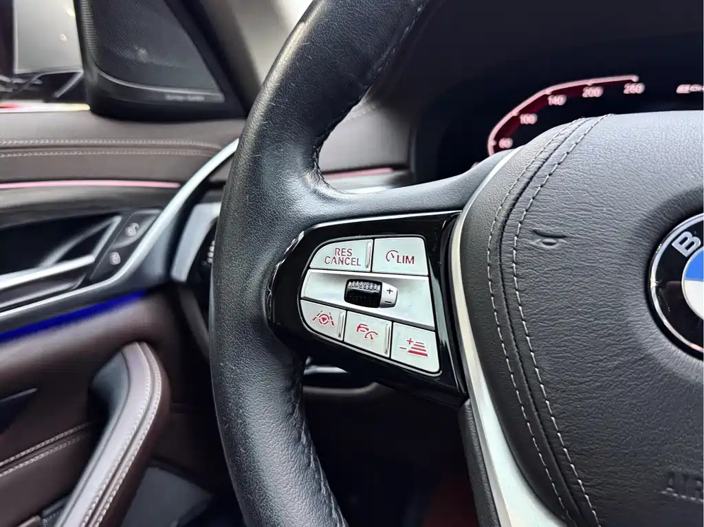 BMW 5 Series New Energy 2019