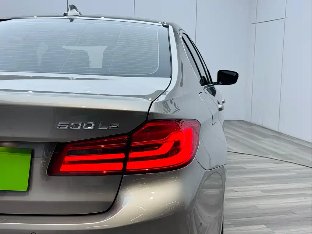 BMW 5 Series New Energy 2019