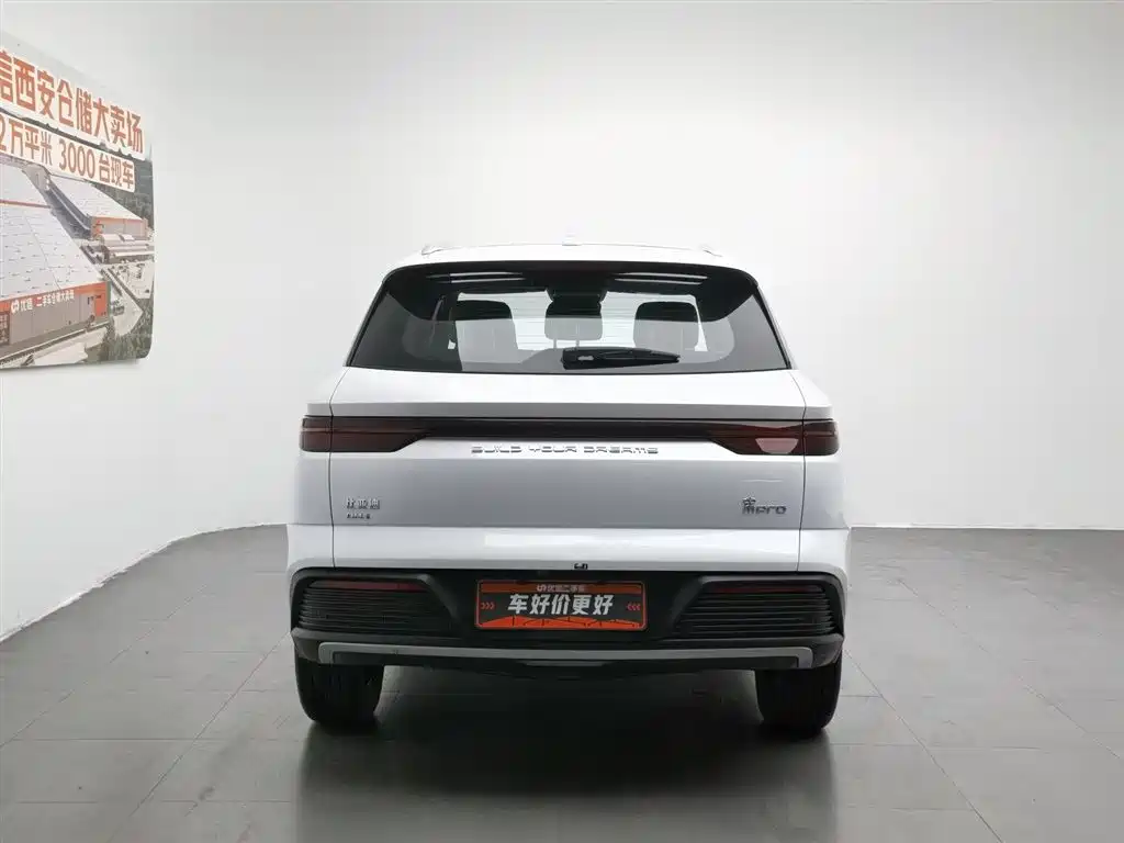 BYD Pro New Energy 2024 — фото 4