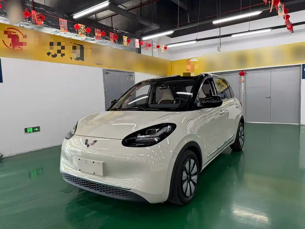 Wuling Bingo 2024