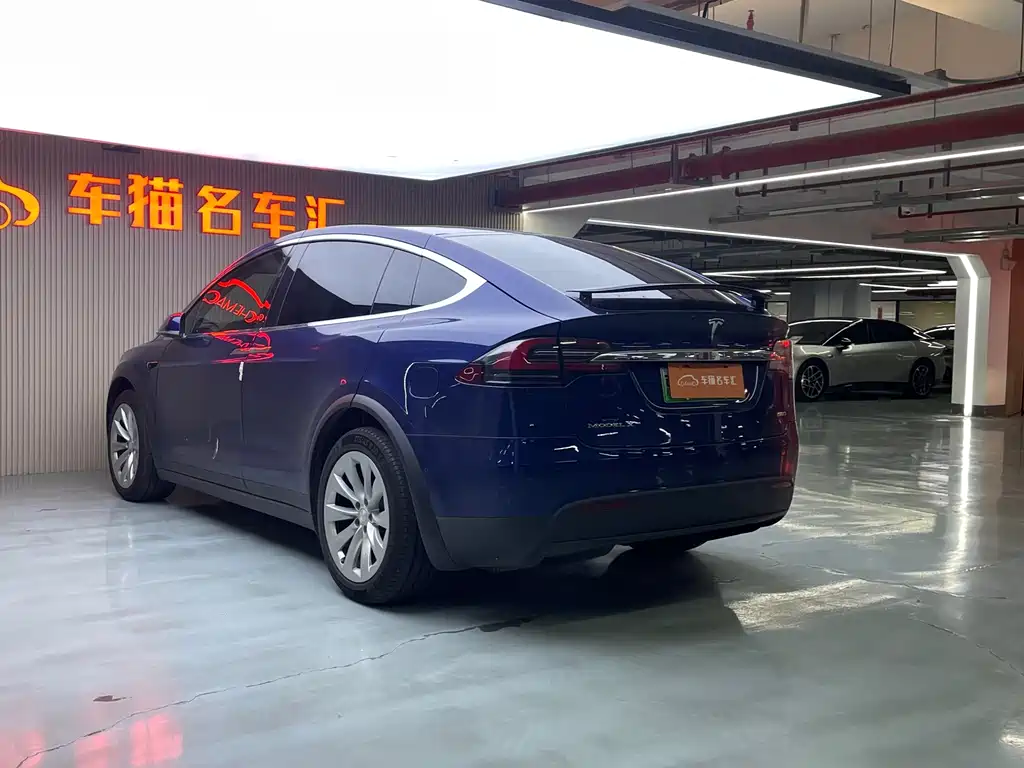Tesla Model X 2019 — фото 17