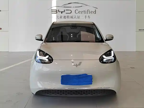 Wuling Bingo 2023