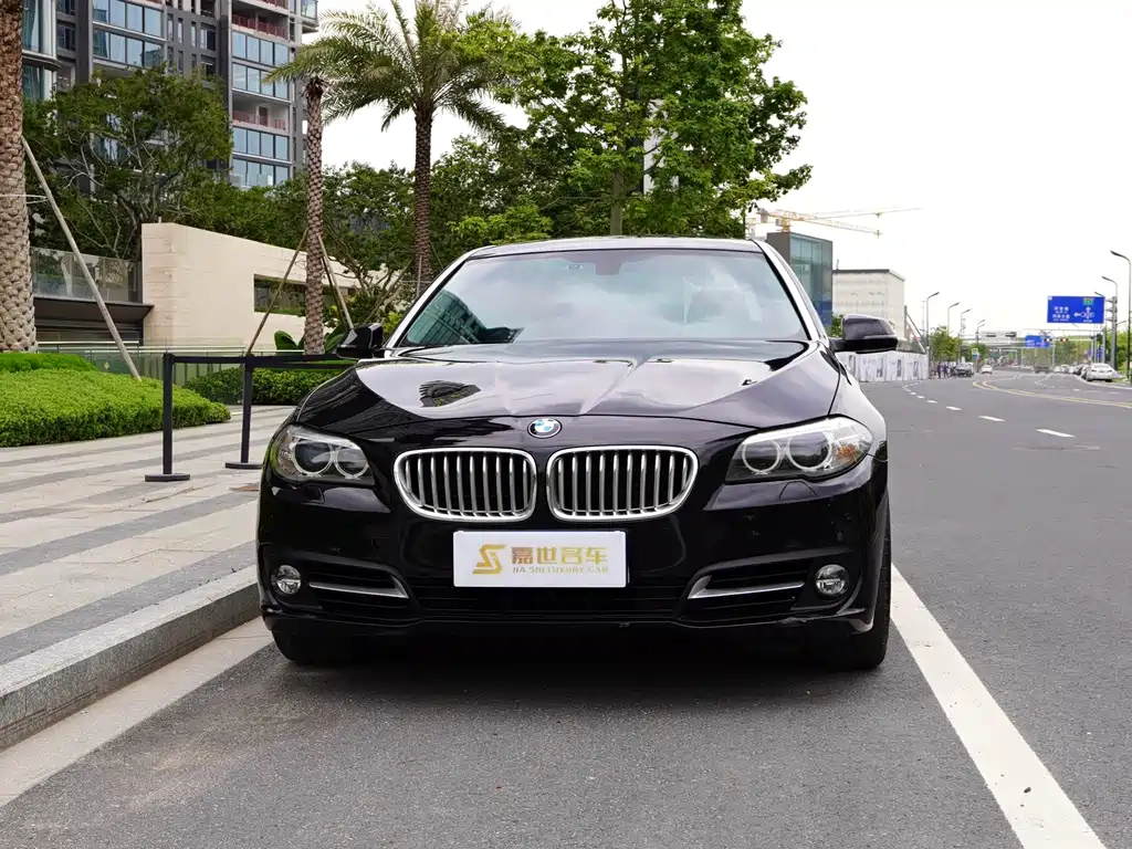 BMW 5 Series 2015 — фото 2