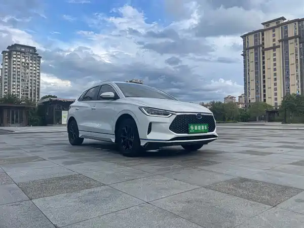 BYD e2 2021