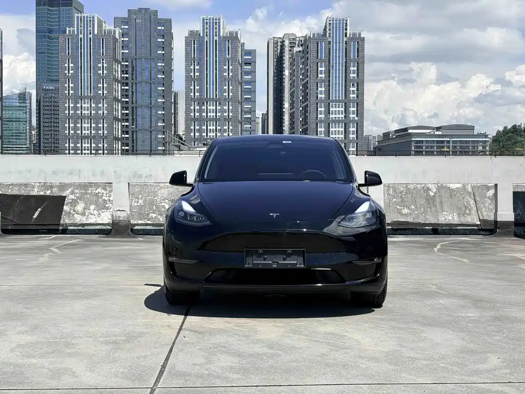 Tesla Model Y 2023 — фото 2