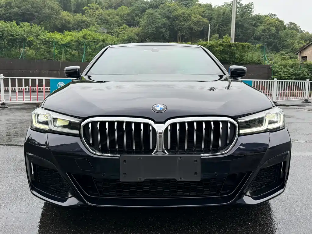 BMW 5 Series 2021