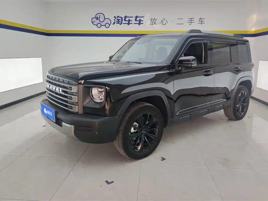 Haval Menglong New Energy 2024
