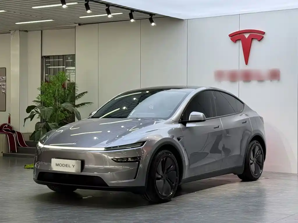 Tesla Model Y 2025 — фото 1