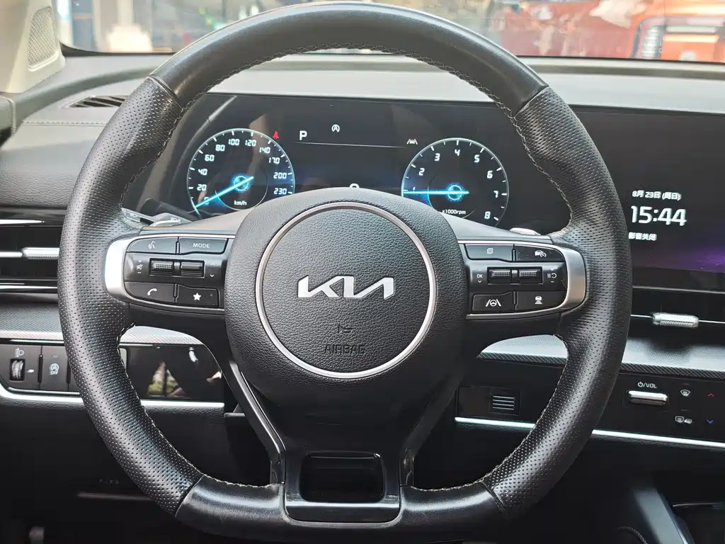 Kia Lion Platinum Expands The Boundary 2024 — фото 10