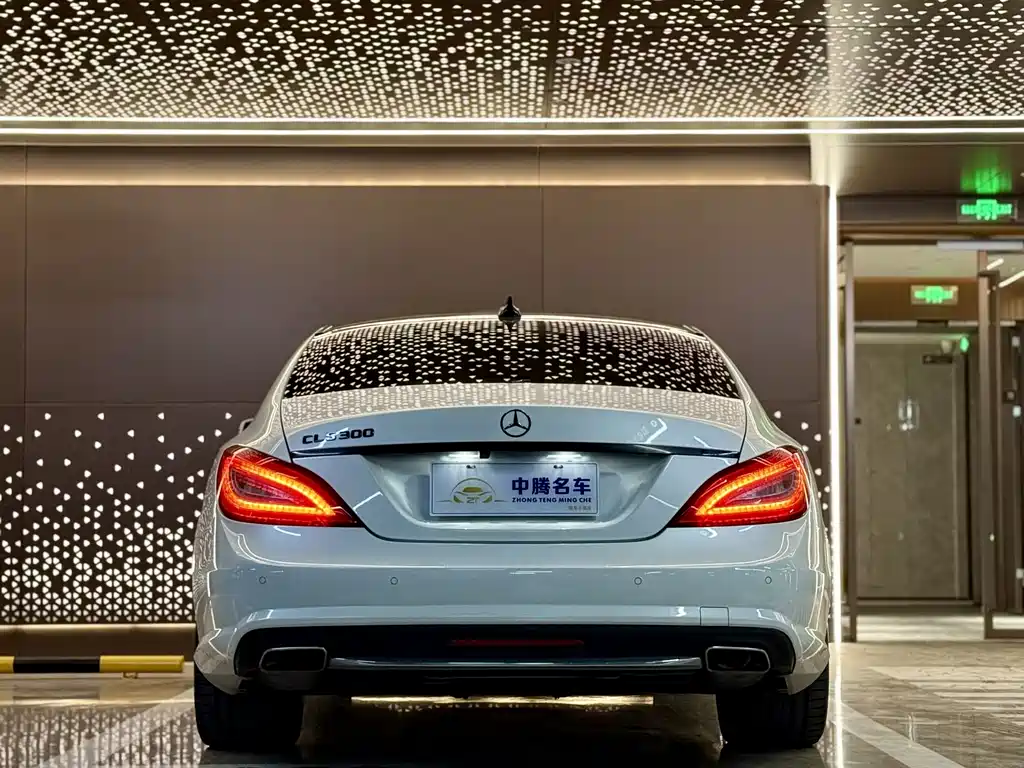Mercedes-Benz CLS 2014 — фото 29