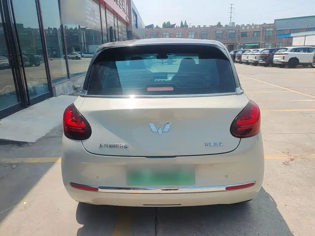 Wuling Bingo 2024