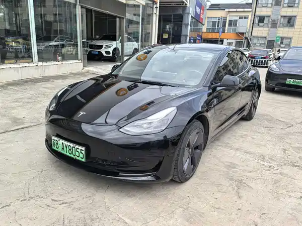 Tesla Model 3 2021