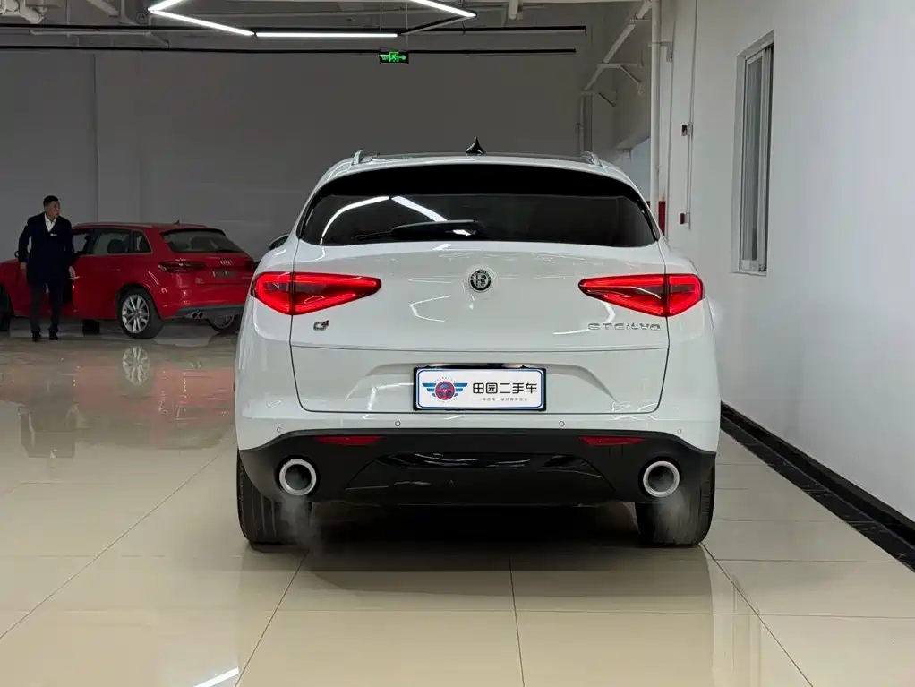Alfa Romeo Stelvio 2019 — фото 5