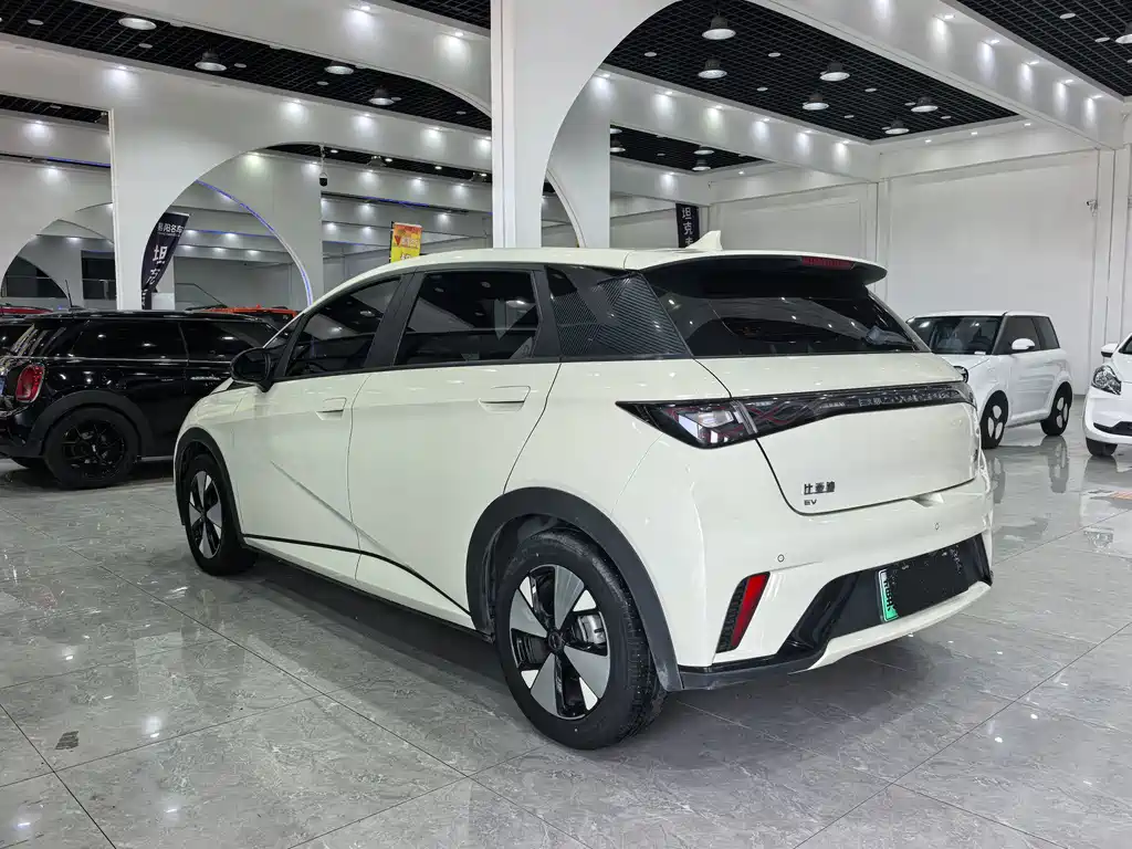 BYD Dolphin 2023 — фото 10