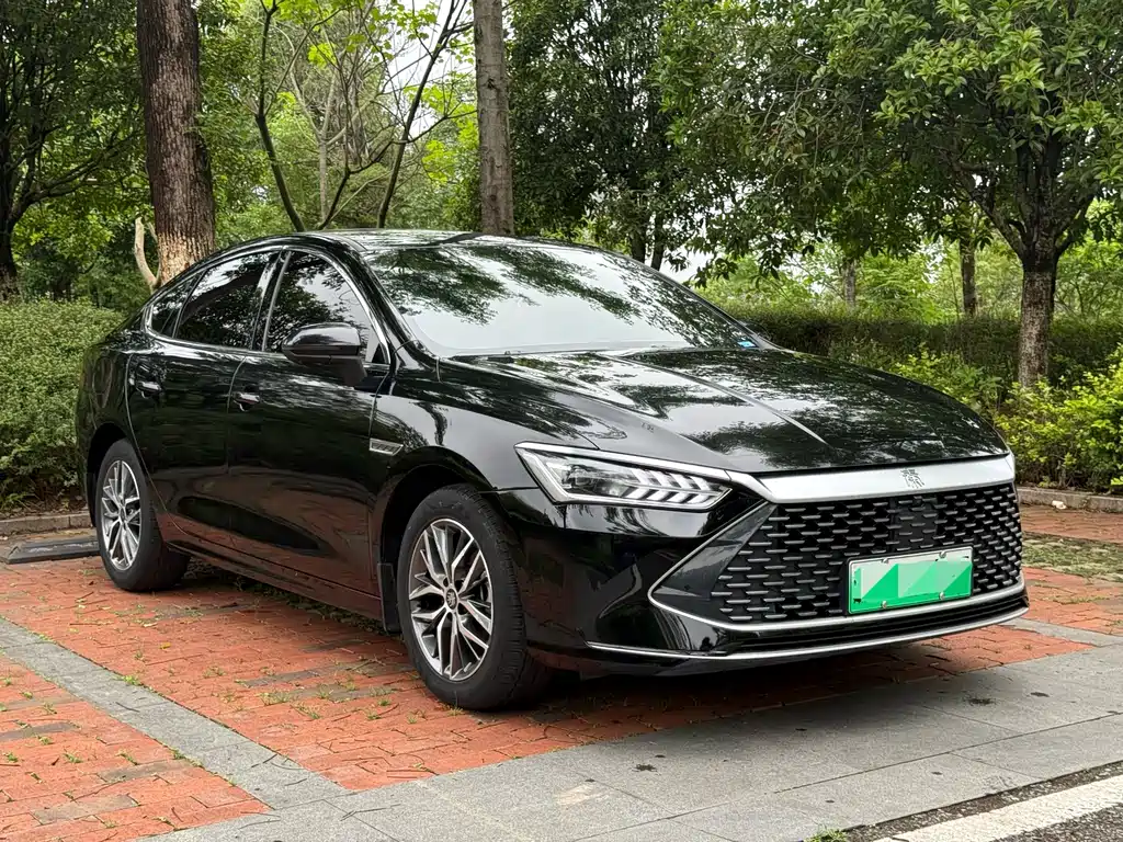BYD Qin PLUS 2023 — фото 3