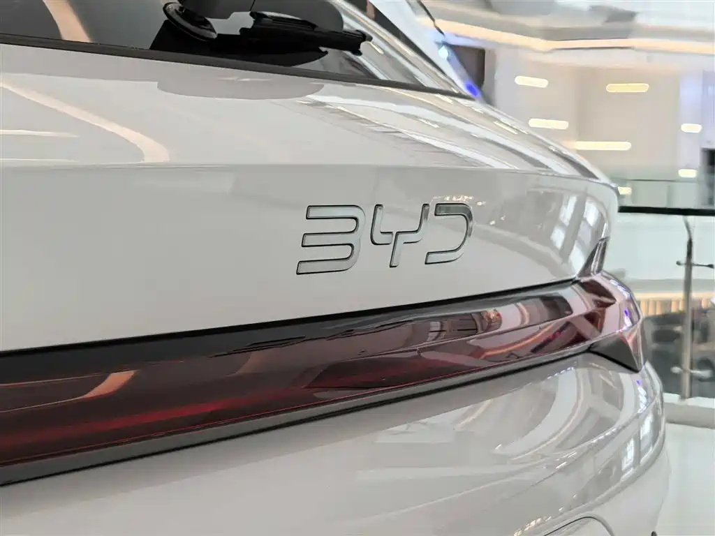 BYD PLUS New Energy 2025 — фото 12